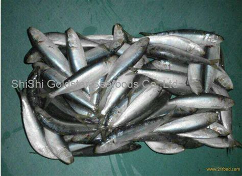 Sardine W/R sardine bait seafoods sardines from China,China Goldstar price supplier - 21food