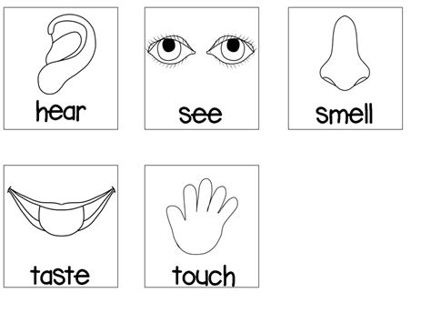 5 senses clipart black and white, 5 senses black and white Transparent FREE for download on ...