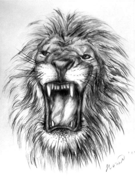 How To Draw A Lion Roaring at Drawing Tutorials