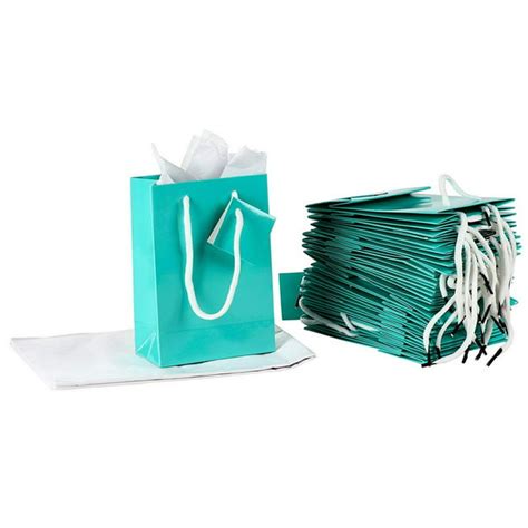 Paper Gift Bag - 20-Pack Small Party Favor Bags, Mini Paper Bags, Tissue Paper Included, Glossy ...