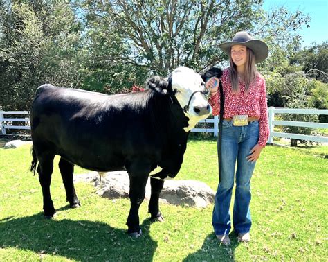 Ventura County Fair runs through Aug. 14; livestock auction is Aug. 12 ...