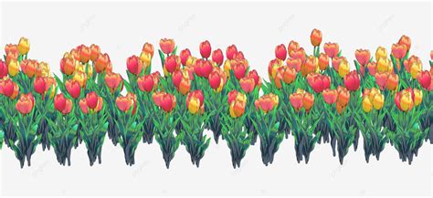 Tulip Flower Field Or Garden, Tulip Flower Vector, Tulip Garden ...