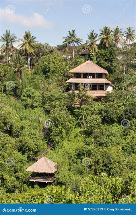 Tropical Beach House. Bali, Indonesia Stock Image - Image of building ...