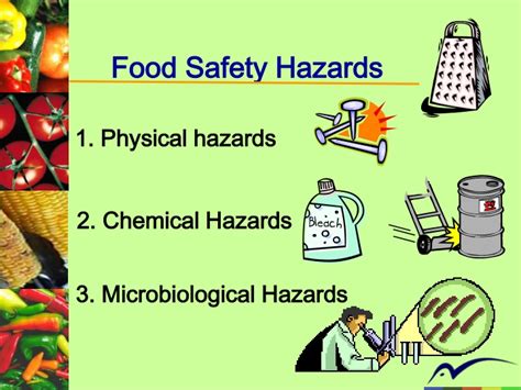 Spot The Hazard Food Safety