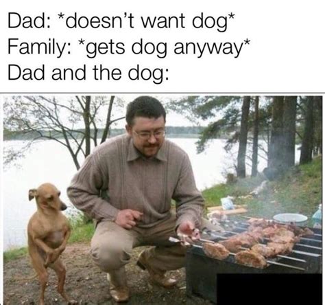 Dad and the Dog | Know Your Meme