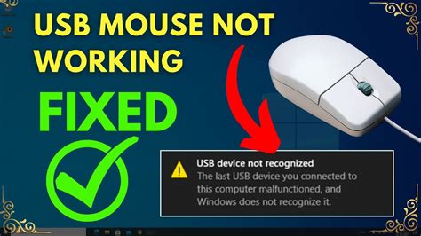 Mouse Not Working Windows 10 Solved | Fix USB Mouse Not Working in ...