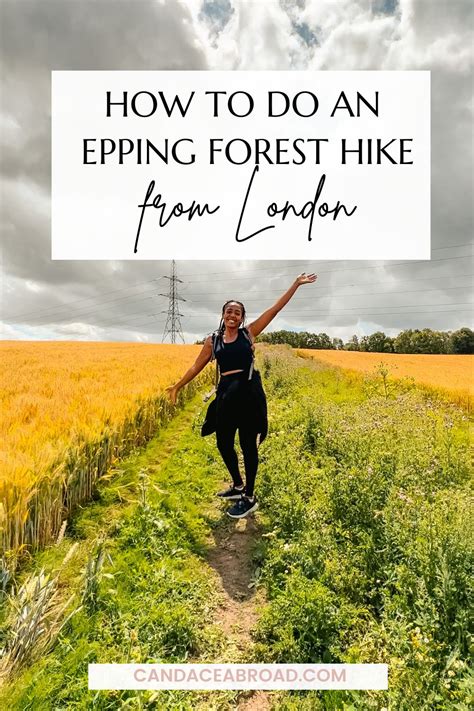 2024, Epping Forest Walks from London: A Quick Guide (+ Maps ...