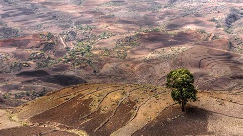 Ethiopia submits carbon cutting plan for UN climate deal