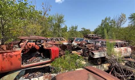 Abandoned Forest Junkyard Is Home to Hundreds of Classic Cars, Rare ...