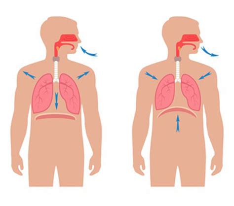 Sleep Apnea Exercises