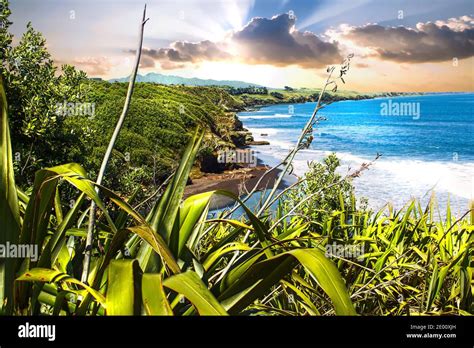 Back Beach Vista, New Zealand Landscapes, digital artwork Stock Photo - Alamy