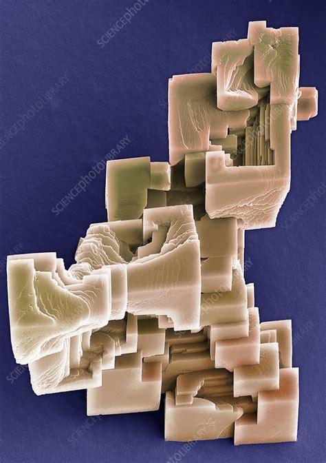 Calcium carbonate crystals, SEM - Stock Image - C046/8261 - Science Photo Library