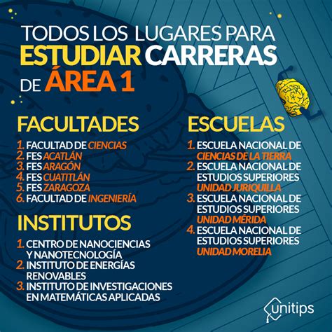 Todas las carreras que puedes estudiar en Área 1