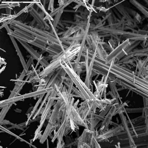 Asbestos, its History, and its Dangerous Presence in Daily Life ...