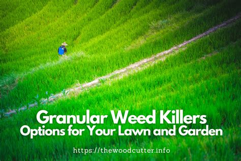 Best Granular Weed Killers For Lawn