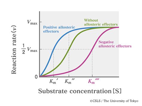 Can someone explain this enzyme kinetics question? : r/Mcat