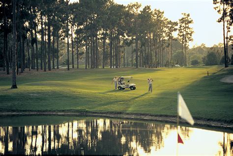 Saddlebrook Course – Saddlebrook Resort – Gryphon Golf and Ski