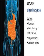 Lecture 9 - Student.ppt.pdf - LECTURE 9 Digestive System Outline ...