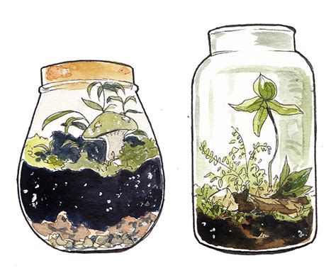 incaseyouart: Little watercolour terrariums! I... - Constantly Suffering | Art inspiration, Art ...