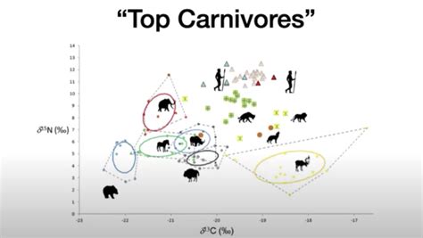 Eating Only Meat for a Month: Research and Testimonials - Dr. Robert Kiltz