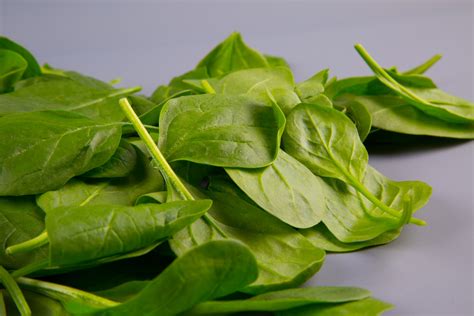 Spinach Leaves Free Stock Photo - Public Domain Pictures