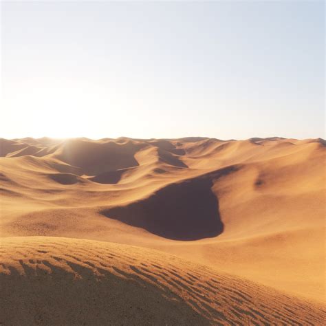 Desert Environment Model - TurboSquid 1679004