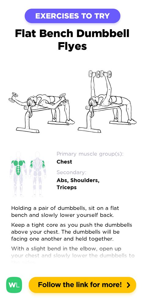 Flat Bench Dumbbell Flyes – WorkoutLabs Exercise Guide