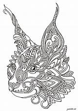Zentangle Cat  Coloring Pages For Adults sketch template