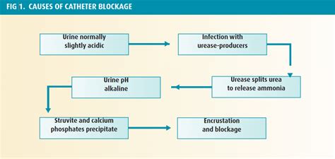 Common catheter-associated complications and problems | Nursing Times