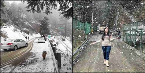 Seasons Fourth Snowfall In Dhanaulti Mussoorie. मसूरी-धनौल्टी में सीजन की चौथी बर्फबारी ...