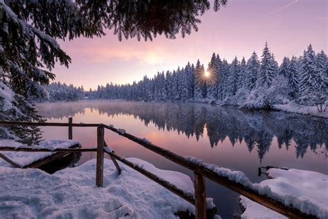 Winter Snow Trees Nature Outdoors Wallpaper,HD Nature Wallpapers,4k Wallpapers,Images ...