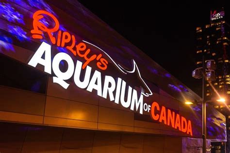 Ripley's Aquarium Tickets | Book Now And Get Upto @ 20% Off!!