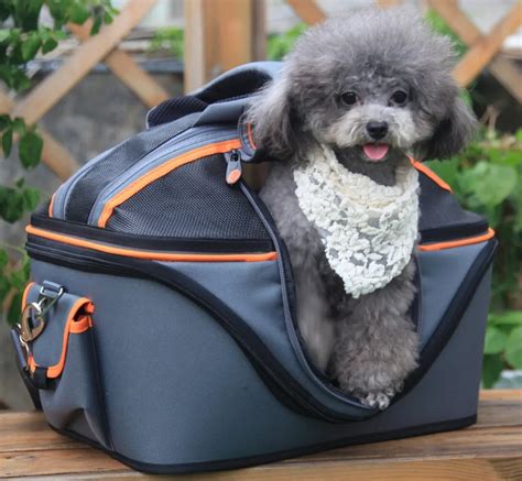 10 Must Have Car Accessories For Pet Lovers | Top Car Accessory