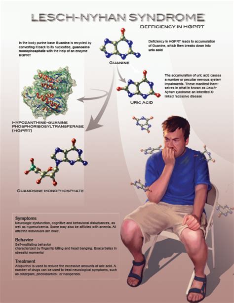 Genetics project Fall 2010: What is the Lyush Nyan Syndrome?