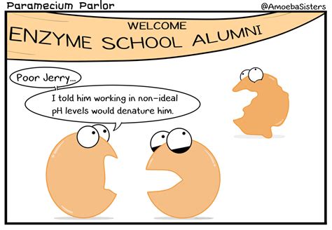 Denatured Enzyme Comic - Science with The Amoeba Sisters