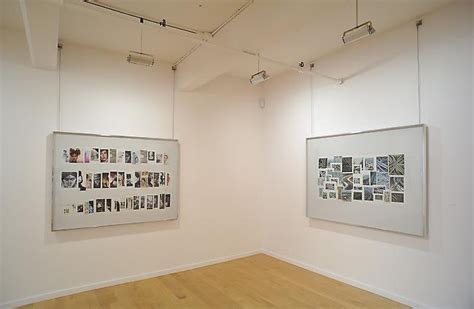 Taryn Simon - The Picture Collection - Exhibitions - Berggruen Gallery