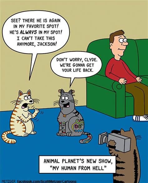 This Man Has Been Creating Cat Cartoons For Over 20 Years, And Here Are 40 Of The Best Ones ...