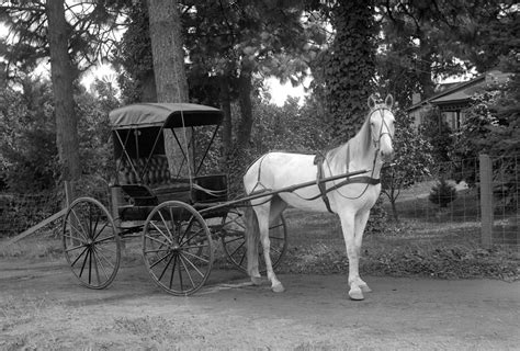 Horse and Buggy - The History Museum of Hood River County