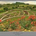 Vegetable Garden Layout - HubPages