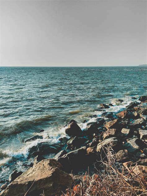 Rocks On Seashore · Free Stock Photo