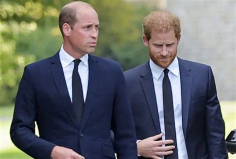 Realization of Prince William's reasons for Prince Harry's reunion