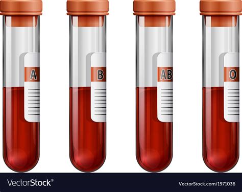 Test tubes with blood samples Royalty Free Vector Image