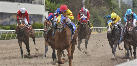 5 cosas que no sabías de las carreras de caballos en México - Martha ...