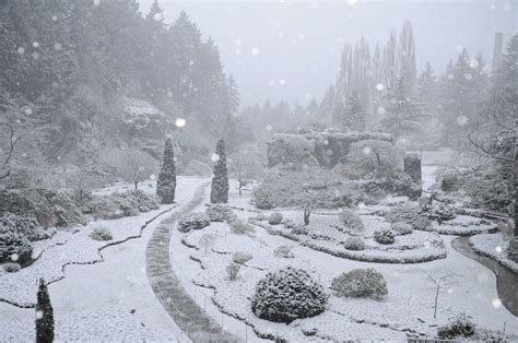 Sunken Garden in snow. #butchartgardens #gardens #explorecanada #victoria #winter #snow ...