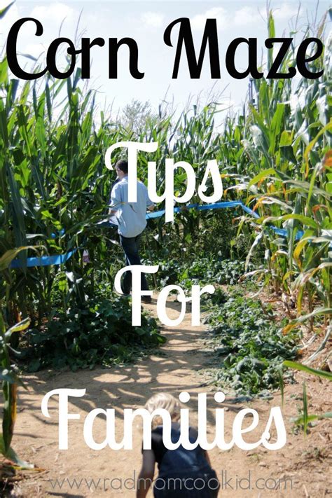 corn maze tips for families www.radmomcoolkid.com Healthy Family ...