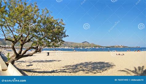 Beach in Port de Pollenca editorial stock photo. Image of coastal - 76597493