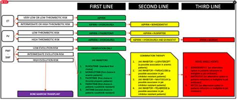 New Horizons In MPN Treatment, A Review Of Therapeutic Options | PV Reporter