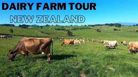 Farm Tour - My New Zealand Dairy Farm - YouTube