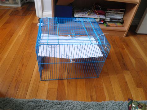 Easy Homemade Chipmunk Trap (keeps Them Alive) - Instructables