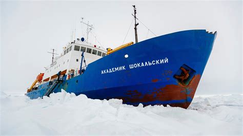 'Stuck in our own experiment': Leader of trapped team insists polar ice is melting | Fox News